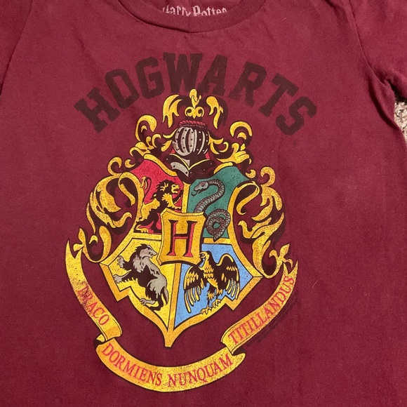 Harry Potter Hogwarts Maroon T Shirt Kids Sz XXS (4/5) Short Sleeves 100% Cotton - Picture 5 of 8